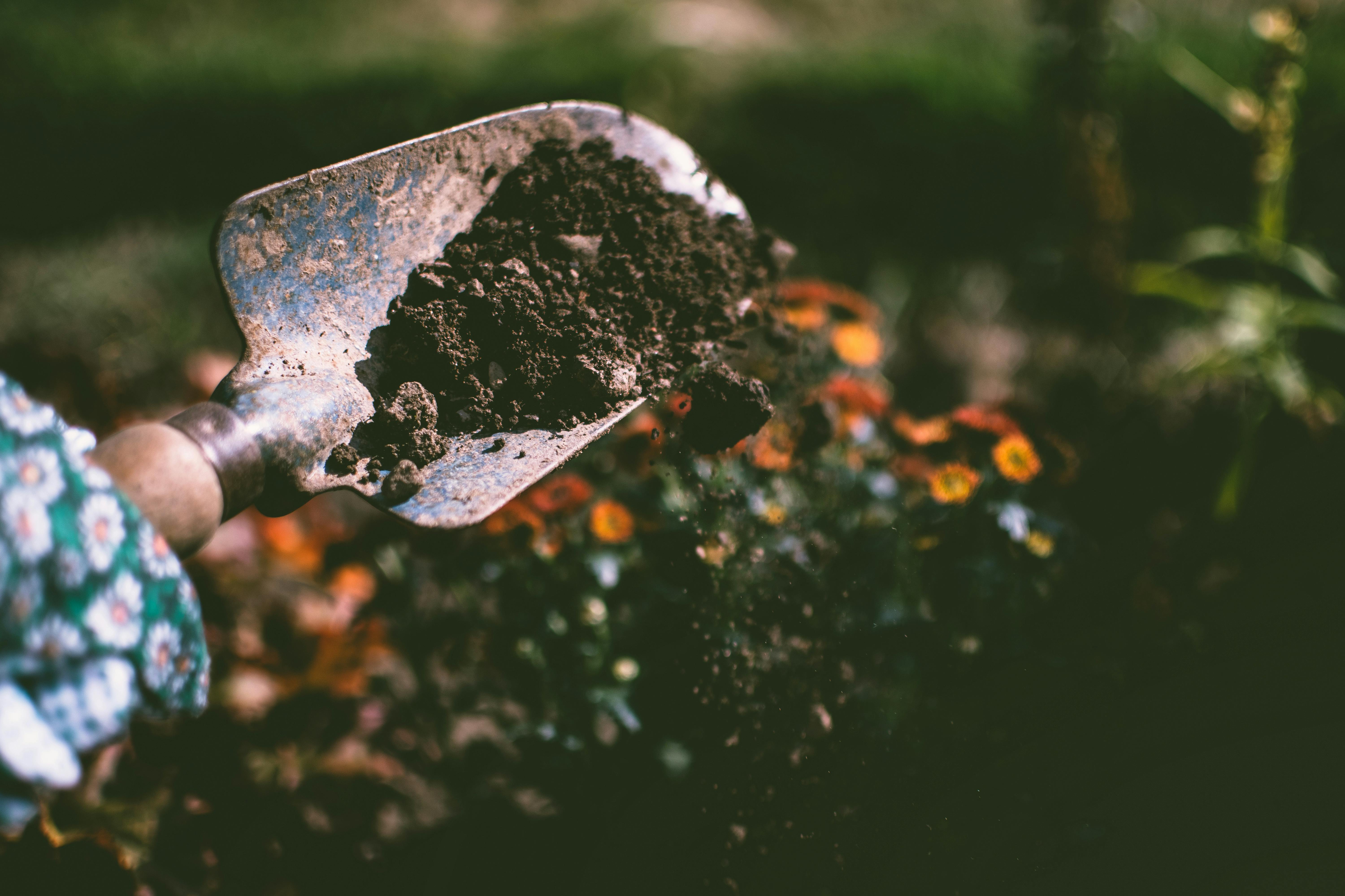 7 Ways To Find Relaxation Through Gardening Projects