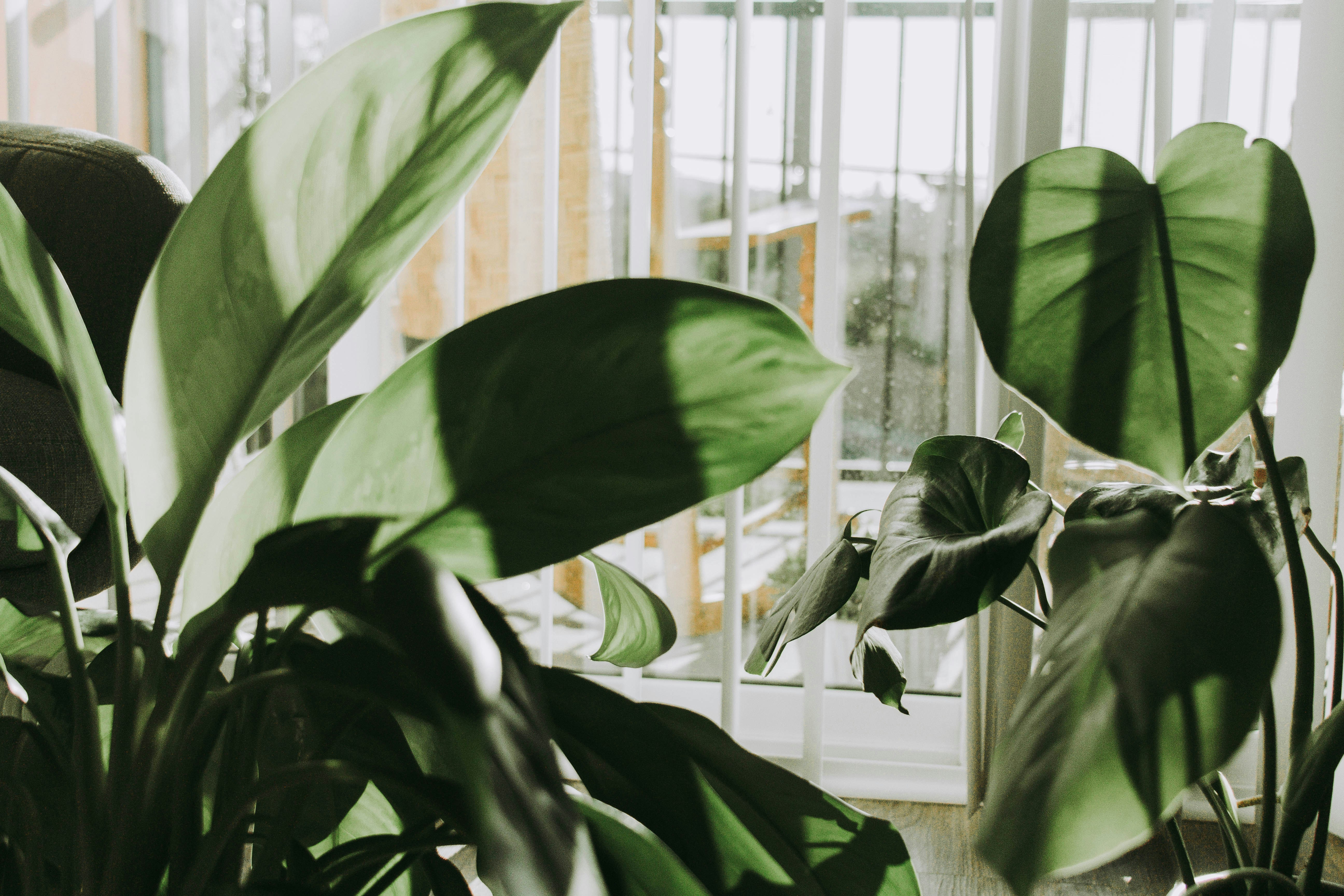 5 Sustainable Choices To Lower Your Home’s Carbon Footprint