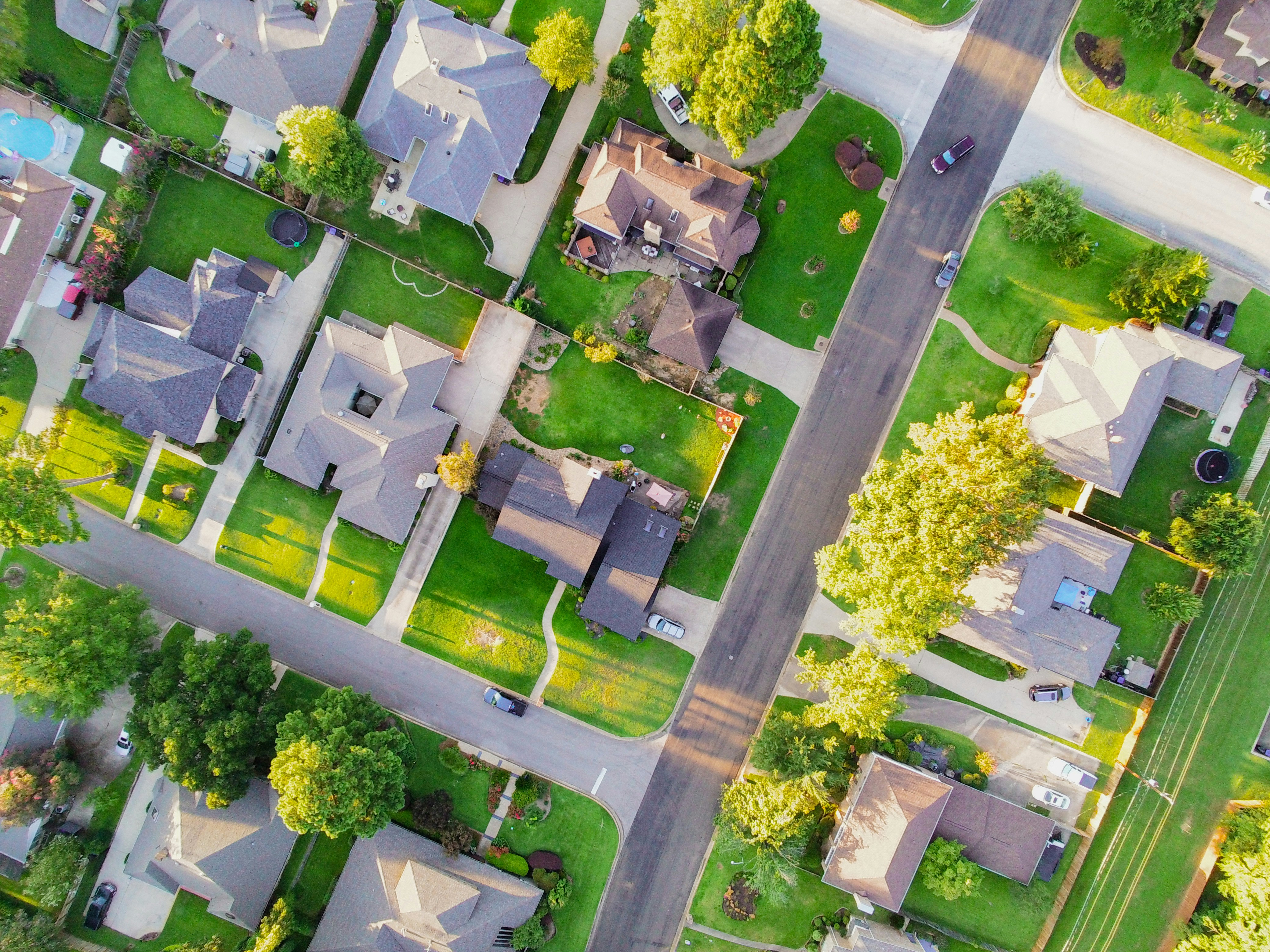 How Neighborhood Clean-Up Drives Spark Lasting Local Connections