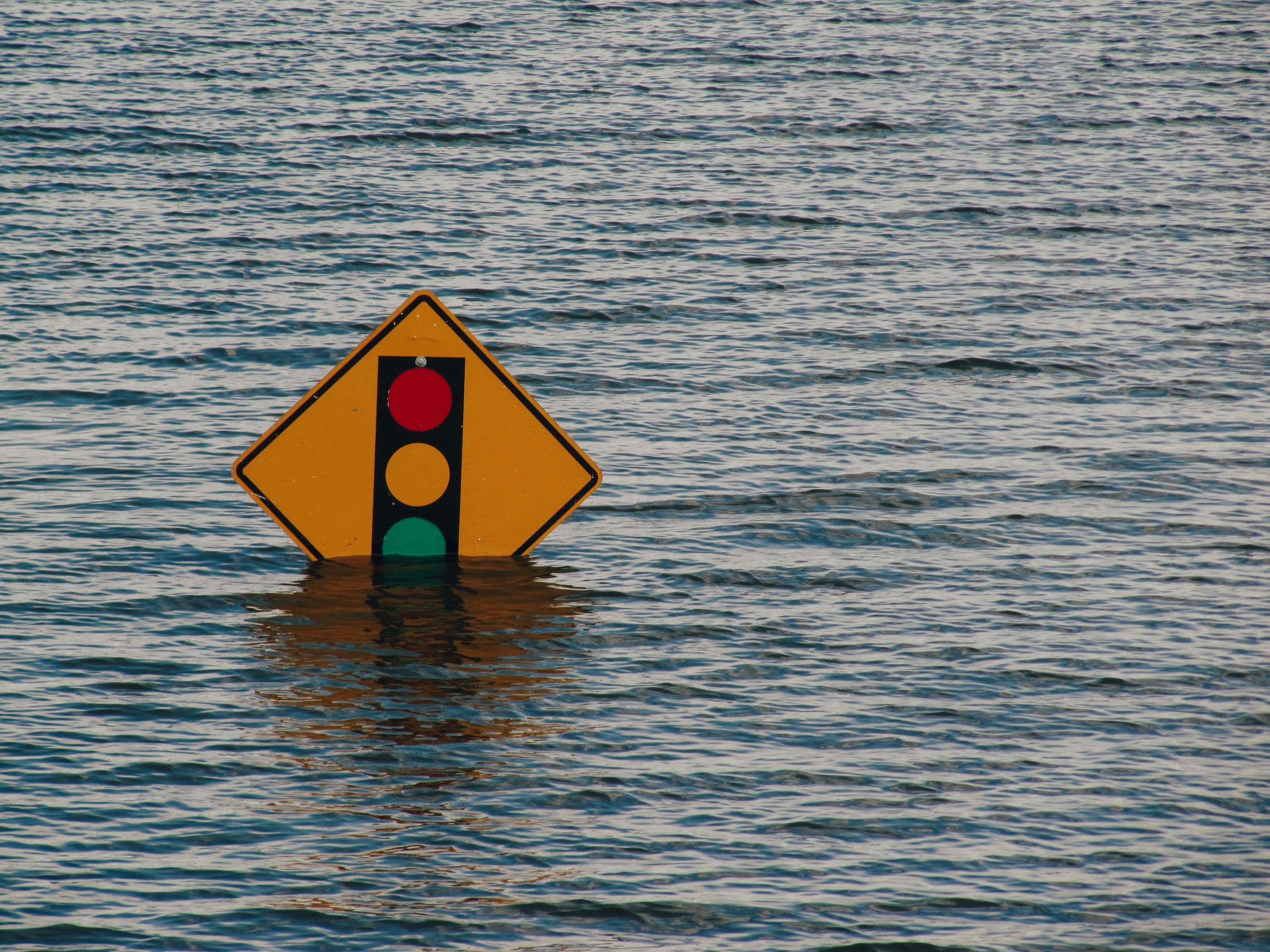Building Resilience Together with Disaster Preparedness Workshops