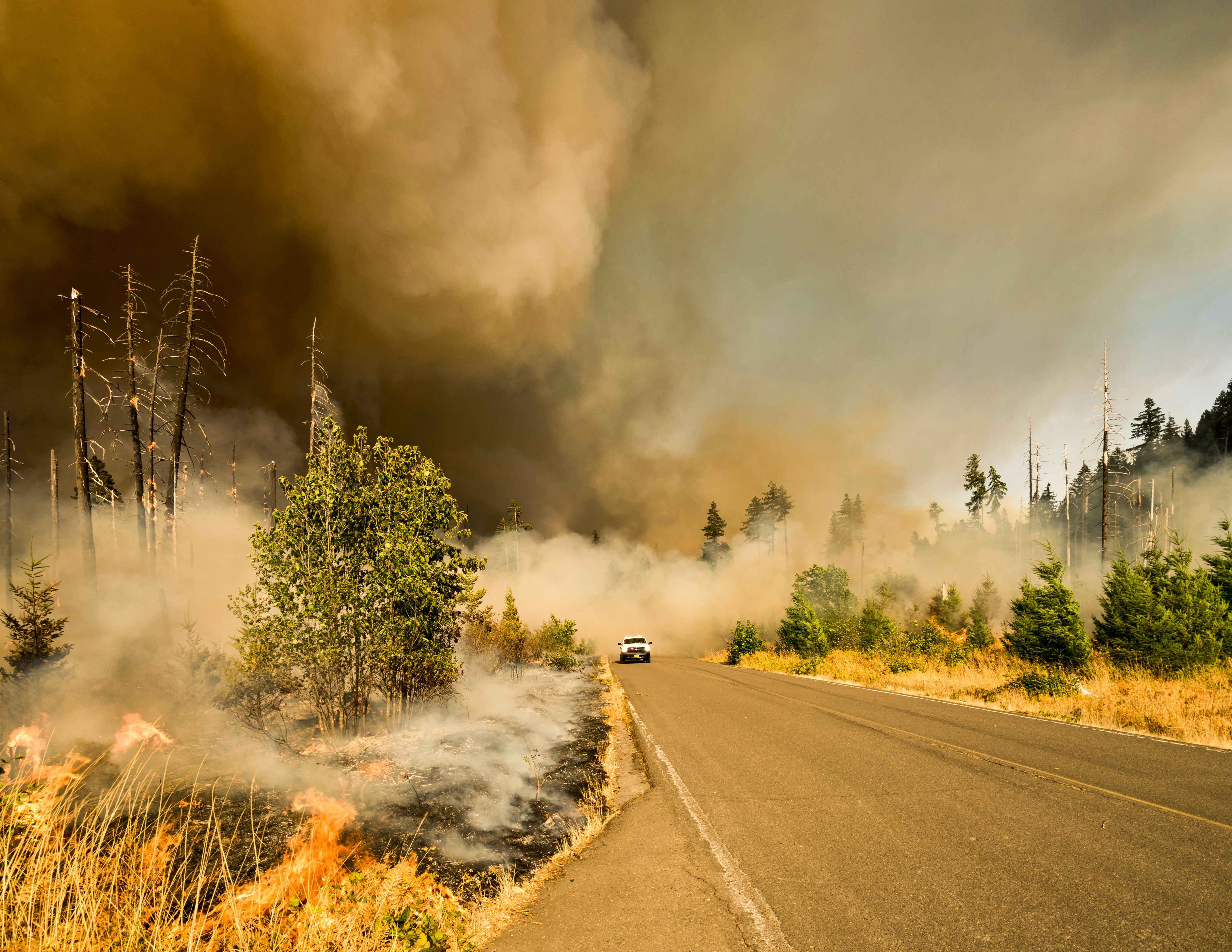 The Most Effective Ways to Support Local Disaster Preparedness Workshops
